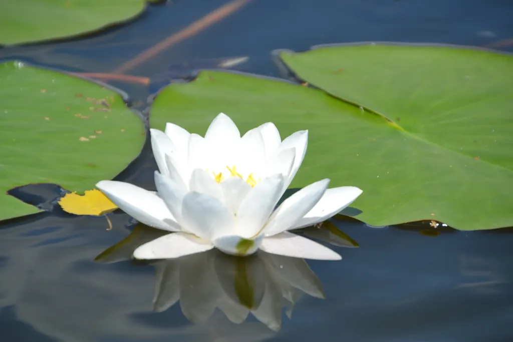 Квартира Комната — Луга