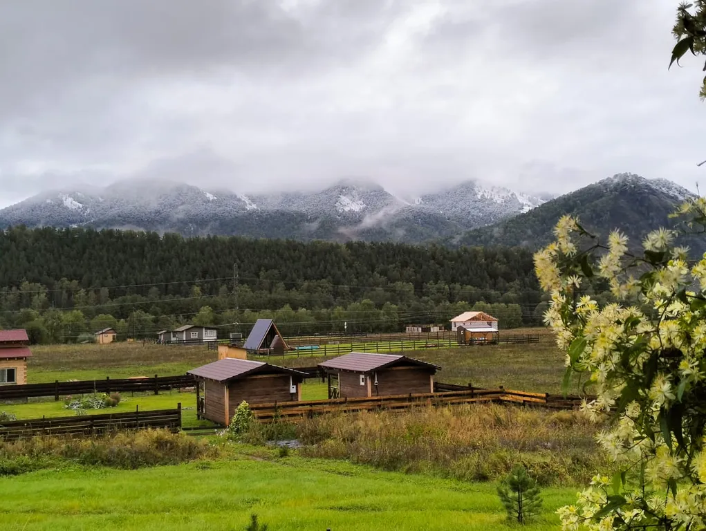 Гостевые домики Можжевельник
