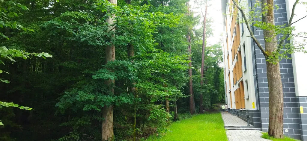 Апартамент с видом на лес