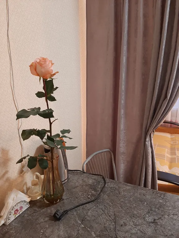 Уютная квартира-студия недалеко от Виваленда