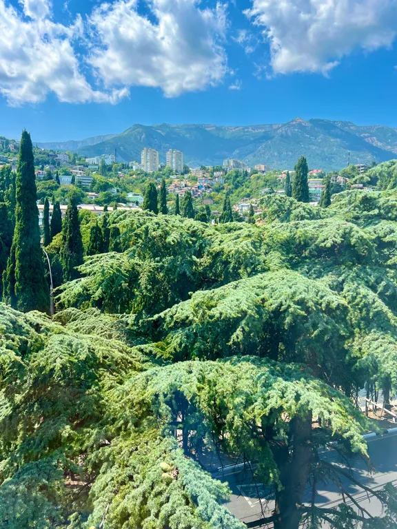 Уютная квартира в центре города с видом на горы