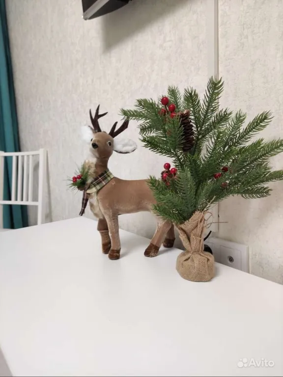 Семейное гнездышко