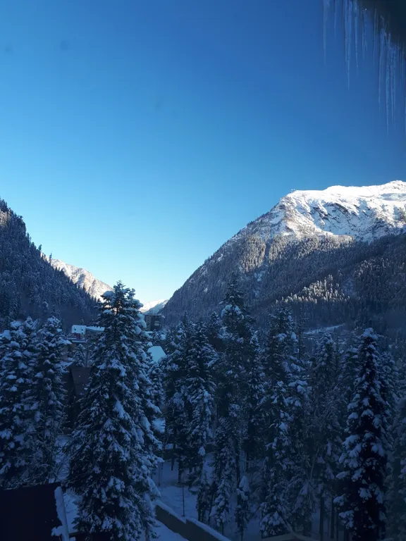 Новая однушка-студия в Домбае