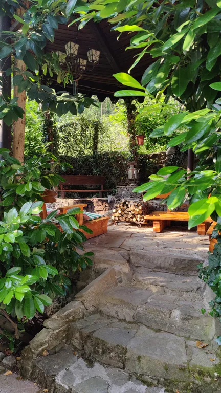 Частный дом с территорией и выходом в лес