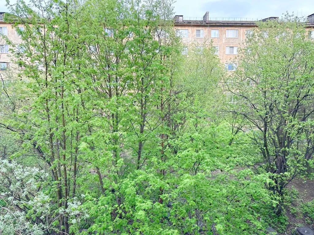 Современная квартира-студия в центре города