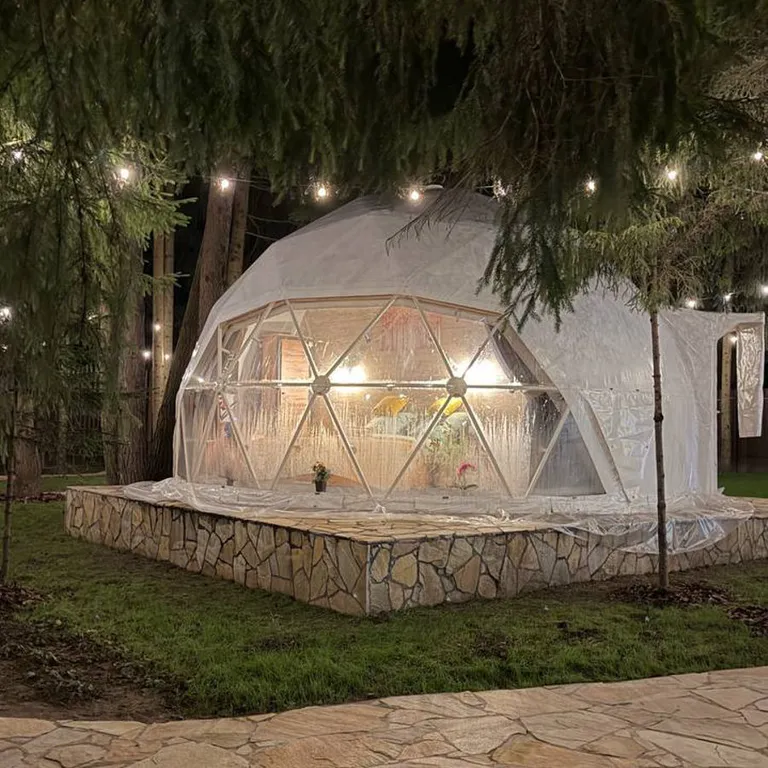 Сфера в сосновом лесу