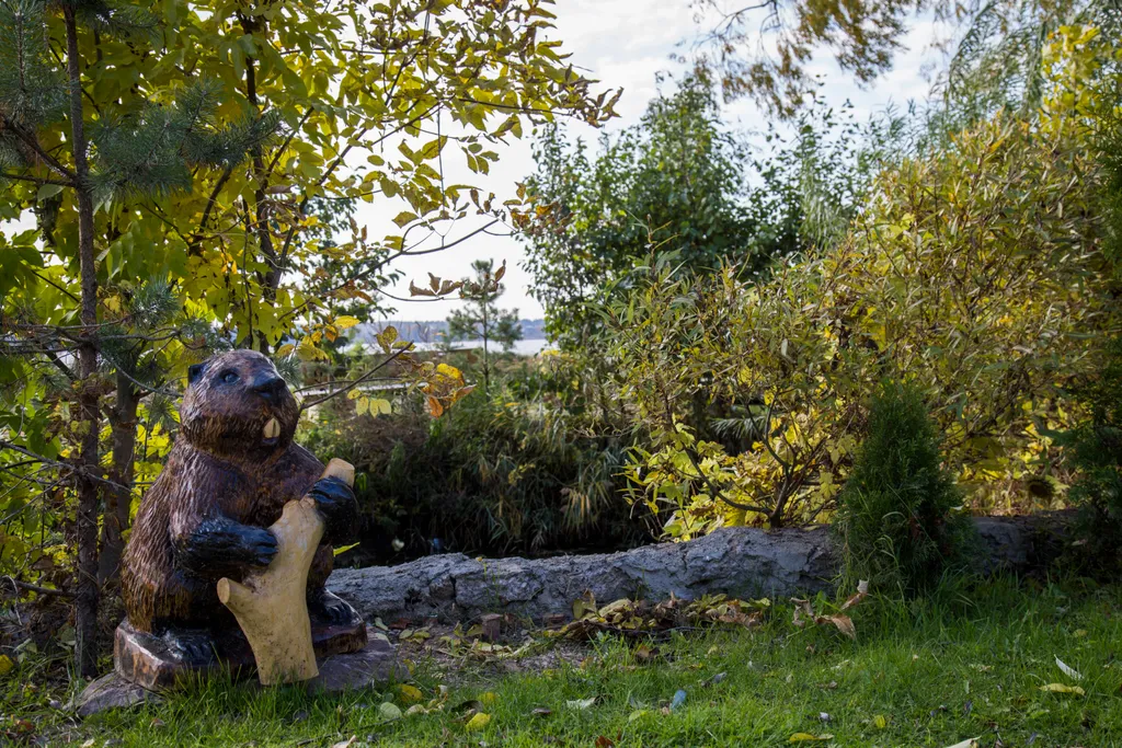 Квартира 1-комнатная Квартира — Луга