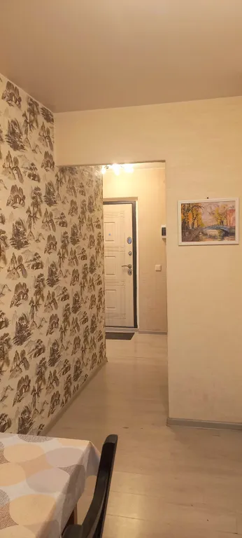 Уютная однокомнатная квартира