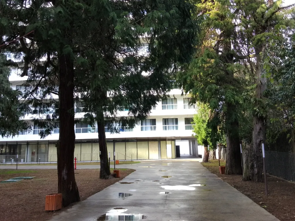 Квартира Роскошные апартаменты с прямым видом на море в Бамбо Бич Цихисдзири — Цихисдзири