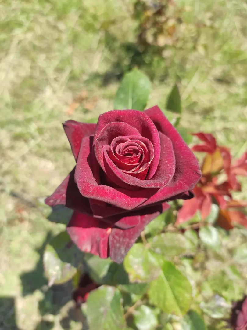 Фото