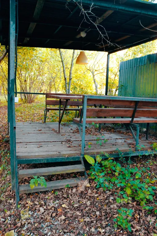 Уютный гостевой дом в лесной зоне