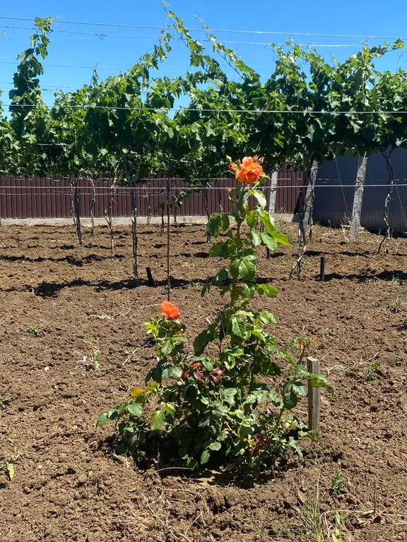 Уютный домик у моря