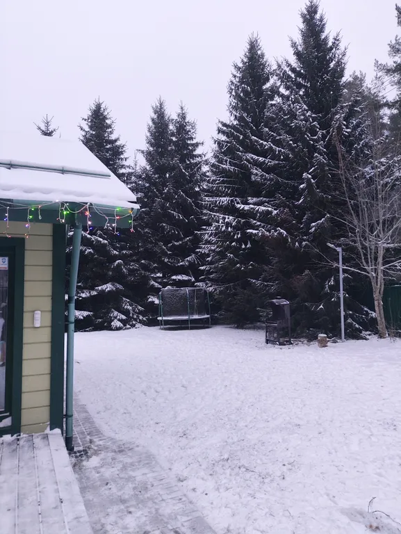 Дом в сосновом лесу у Финского залива