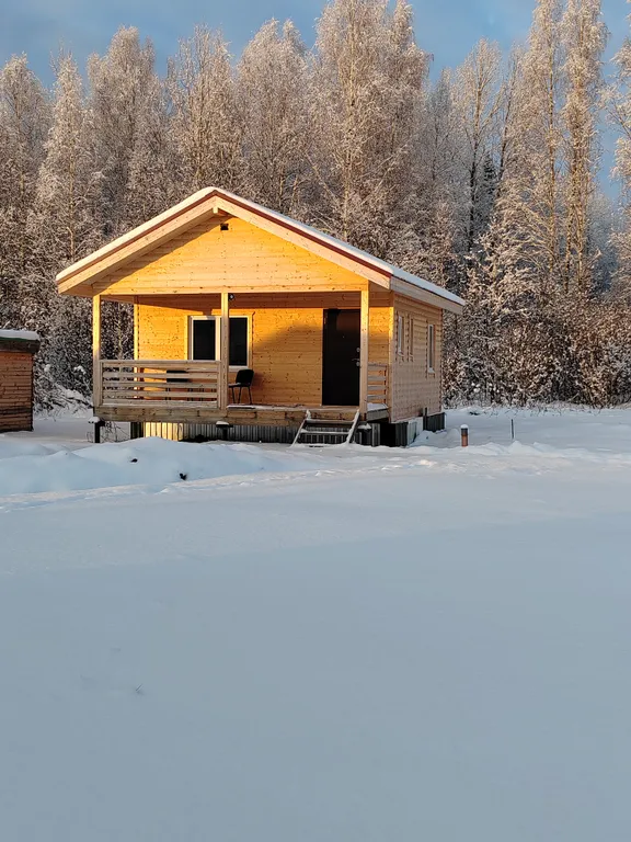 Коттедж Дом с видом на лес база Карловка — Чудово