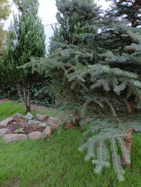 Уютный домик в поселке