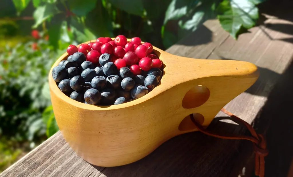 Домик у реки с отличным видом на 2 шлюз Волго Балтийского канала и лес