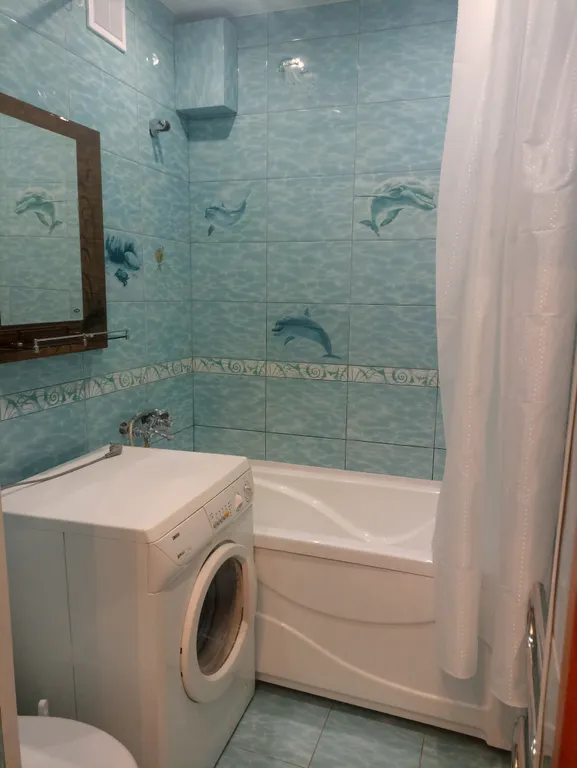 Однокомнатная поделена на две