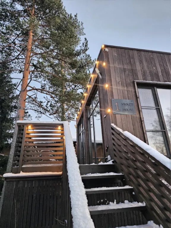 Черничный склон коттедж Violet house