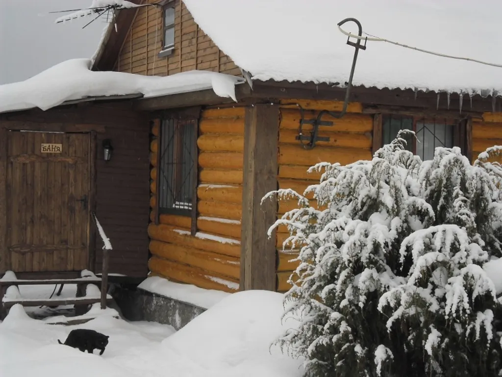 Эко дом в лесу