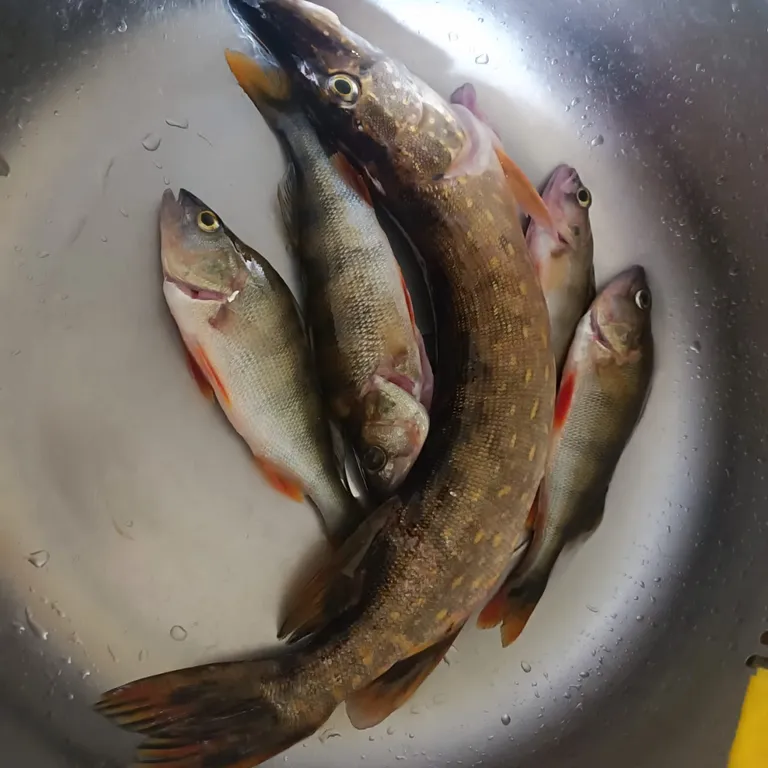 Уютный коттедж на реке