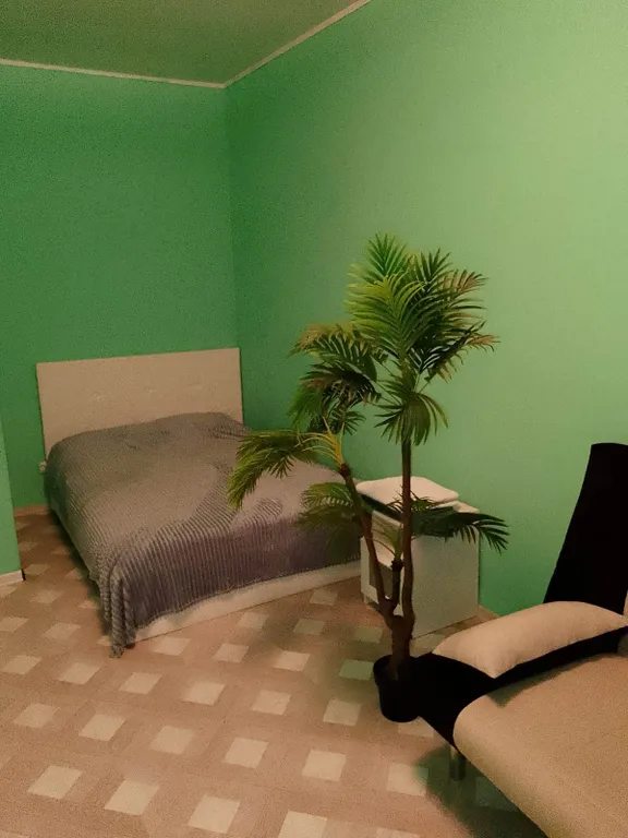 Коттедж Мякинино для праздника