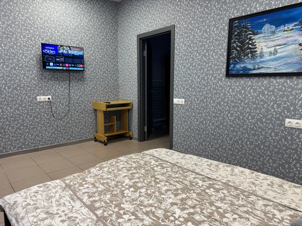 Просторная квартира в центре с кондиционером