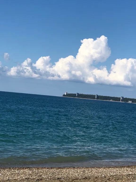 Квартира Уютная квартира с видом в парк — Сириус