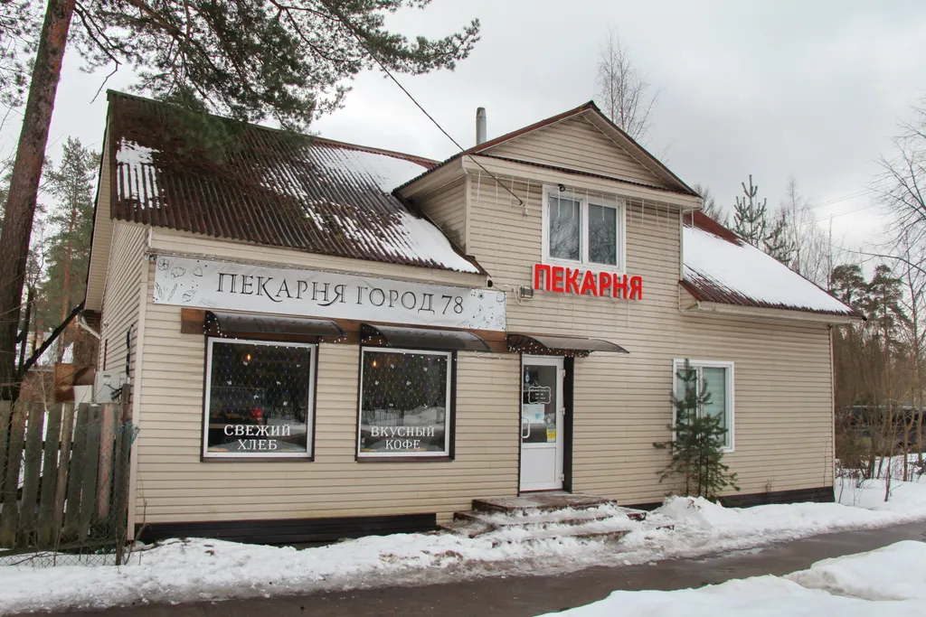 Квартира Квартира Комфорт и уют в Песочном. — Песочный