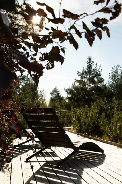 Дизайнерский коттедж с садом на крыше