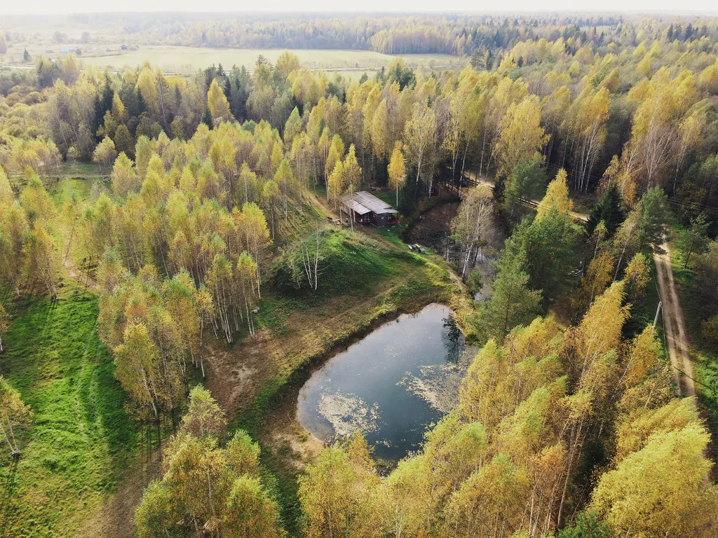 Дом для романтиков на берегу пруда