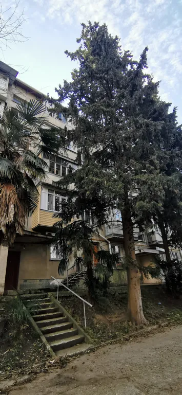 Студия в зелёном городке ввс