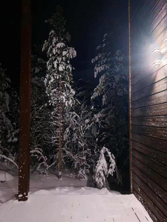 Уютный уголок на природе в сердце Мурманска