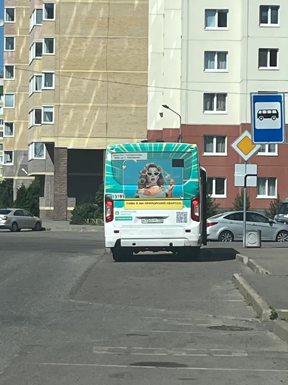 Большая квартира с зонированием и с видом на лес