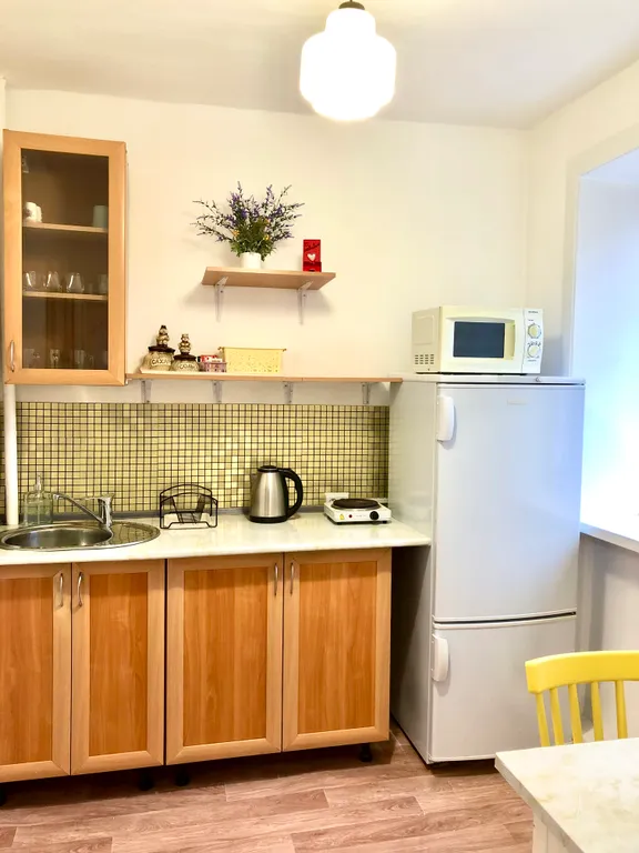 Уютная и по-домашнему чистая квартира в центре города