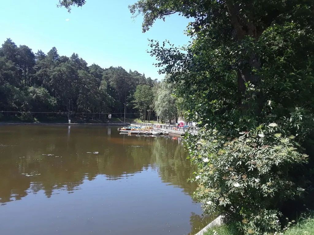 Апартаменты у озера в Светлогорске