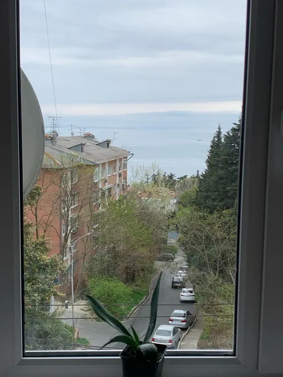 Квартира Уютная квартира — Сочи