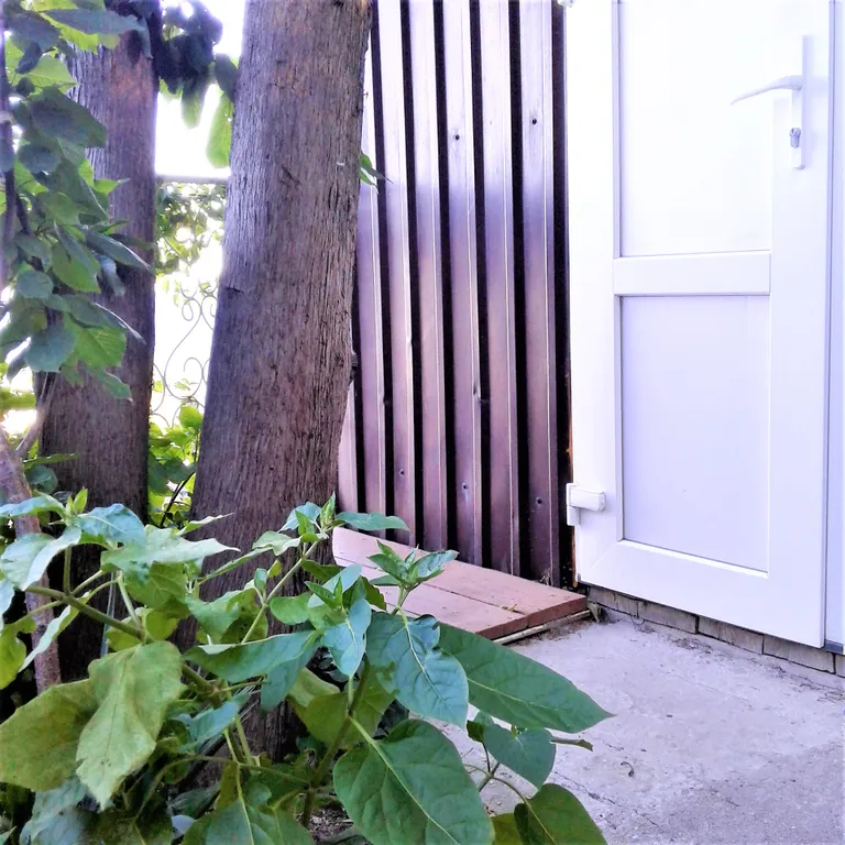 Домик с видом на море