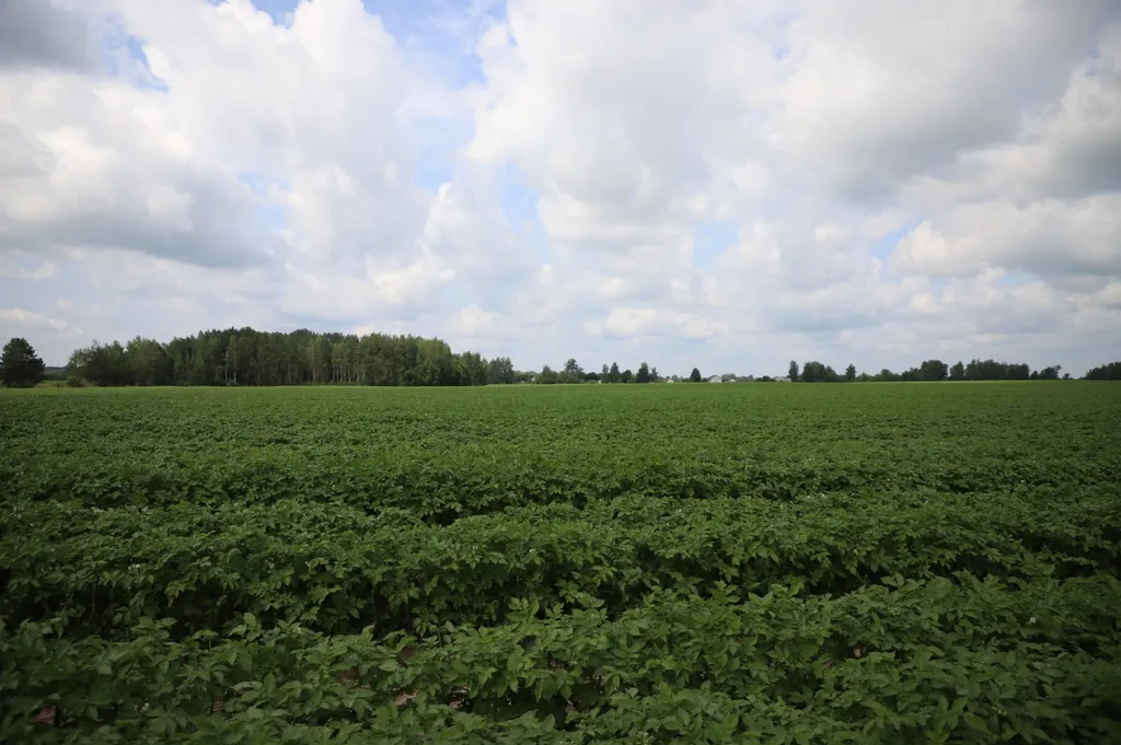 Гостевой дом