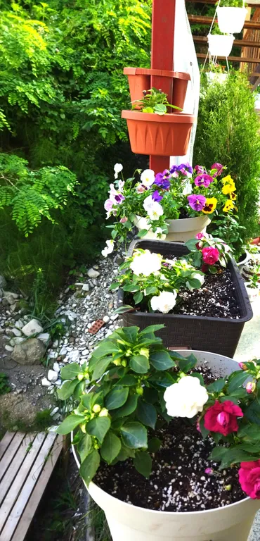 Уютные апартаменты