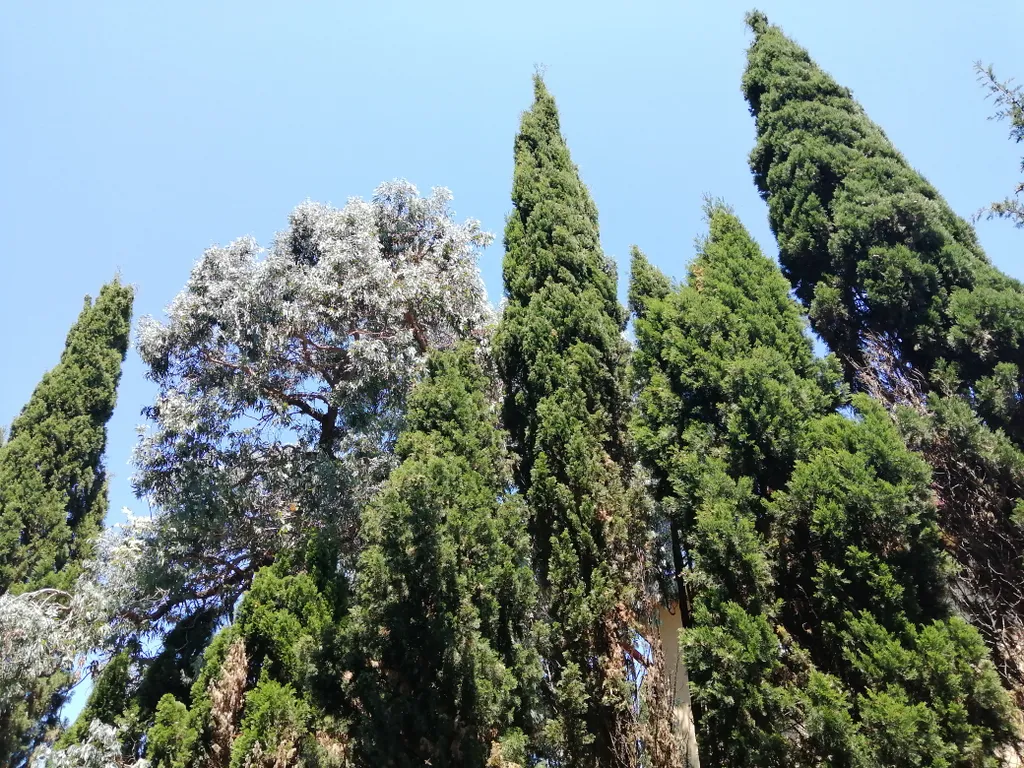 Квартира Квартира Студия в центре Адлера — Адлер