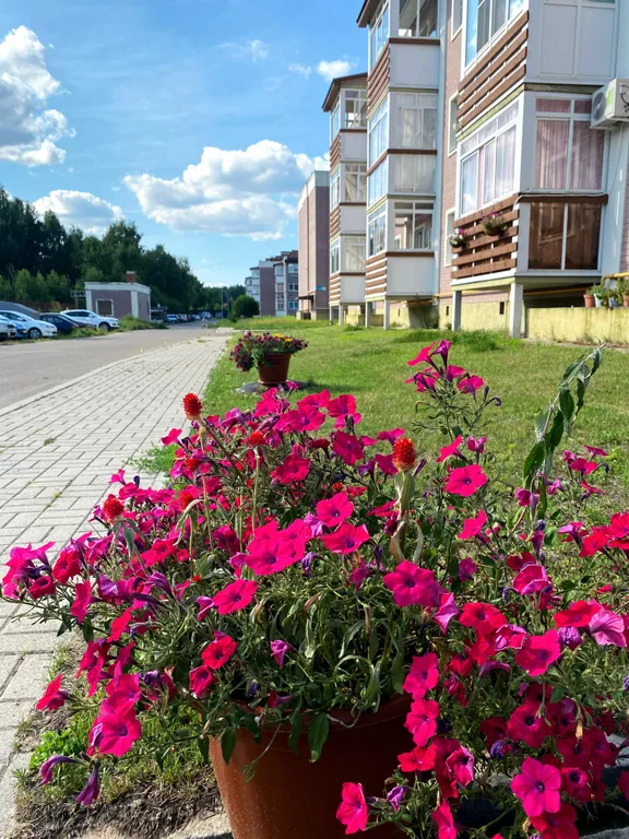 Квартира Квартира Apartment лесная у ярбайкала — Ярославль