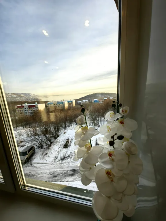 Видовая квартира бухта-вулканы