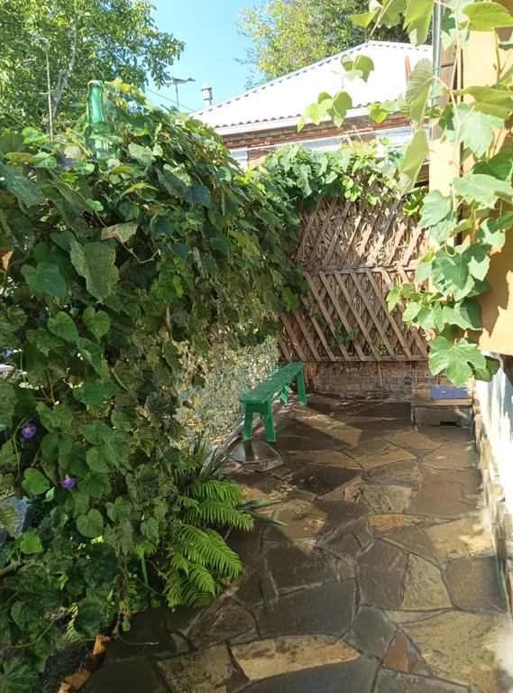 1-комнатный дом в центре