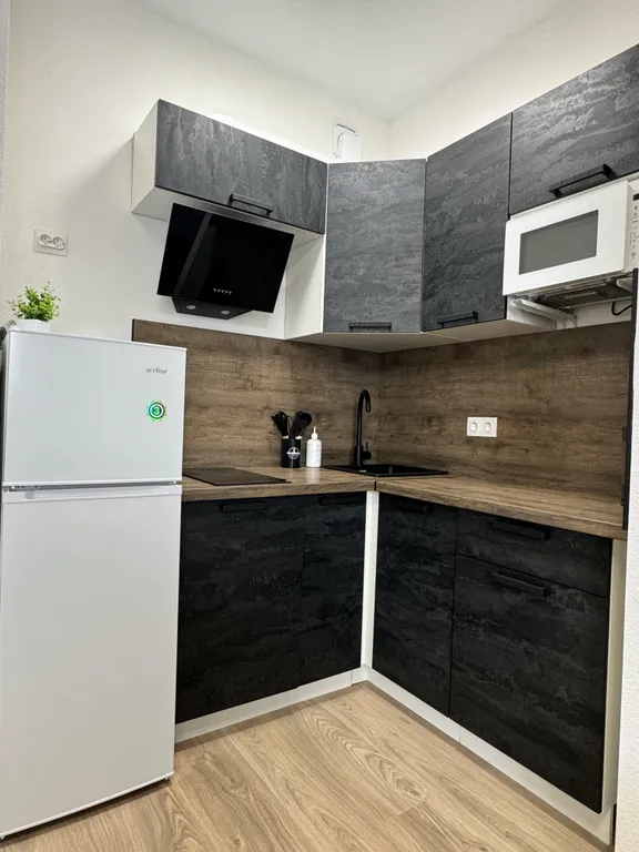 Квартира 1-комнатная Квартира — Песочный