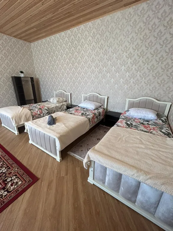 Новый уютный домик в сельской местности из двух комнат для отдыха