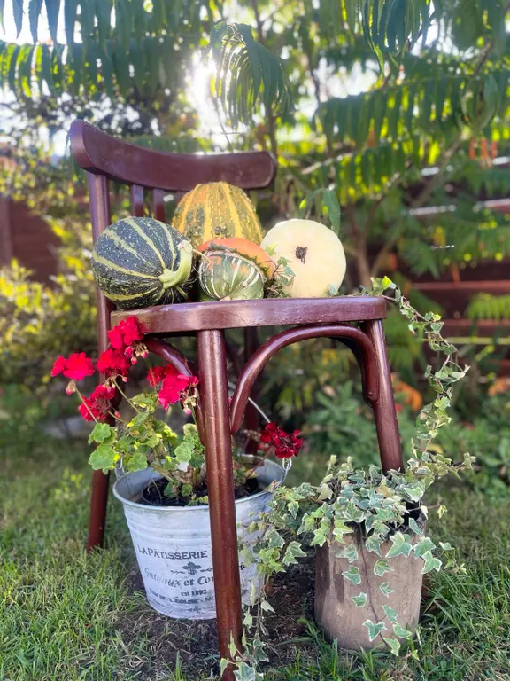 Усадьба со всеми удобствами