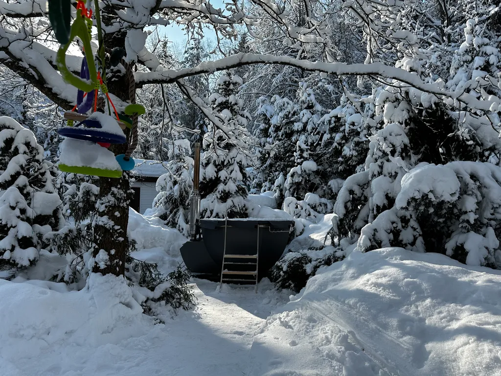 Дача с красными карпами с баней и чаном