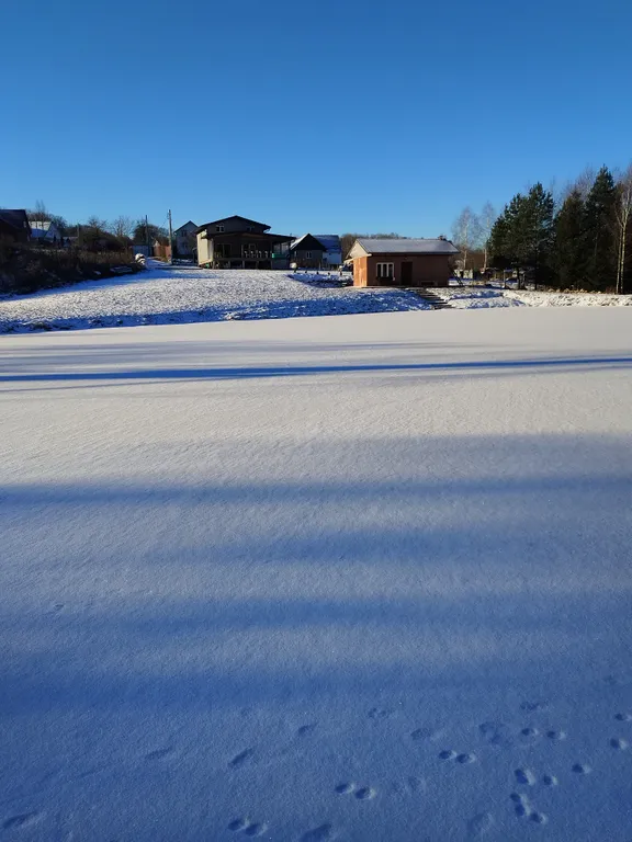 Уютный дом с русской баней на пруду у леса