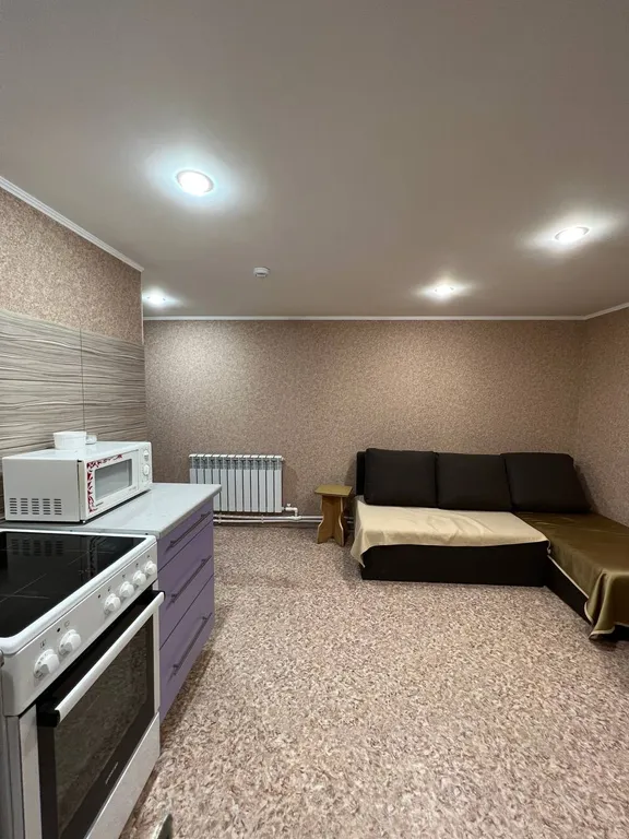 Коттедж 1-комнатный Дом — аренда посуточно в Рубцовск