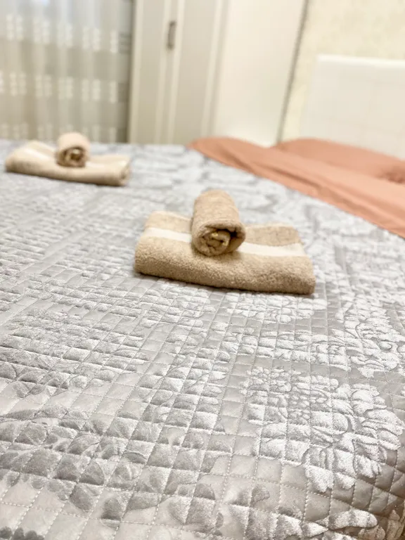 Уютная квартира в центре города